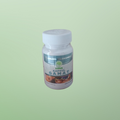Golden Cucumber (Capsul Gamat) - HNI