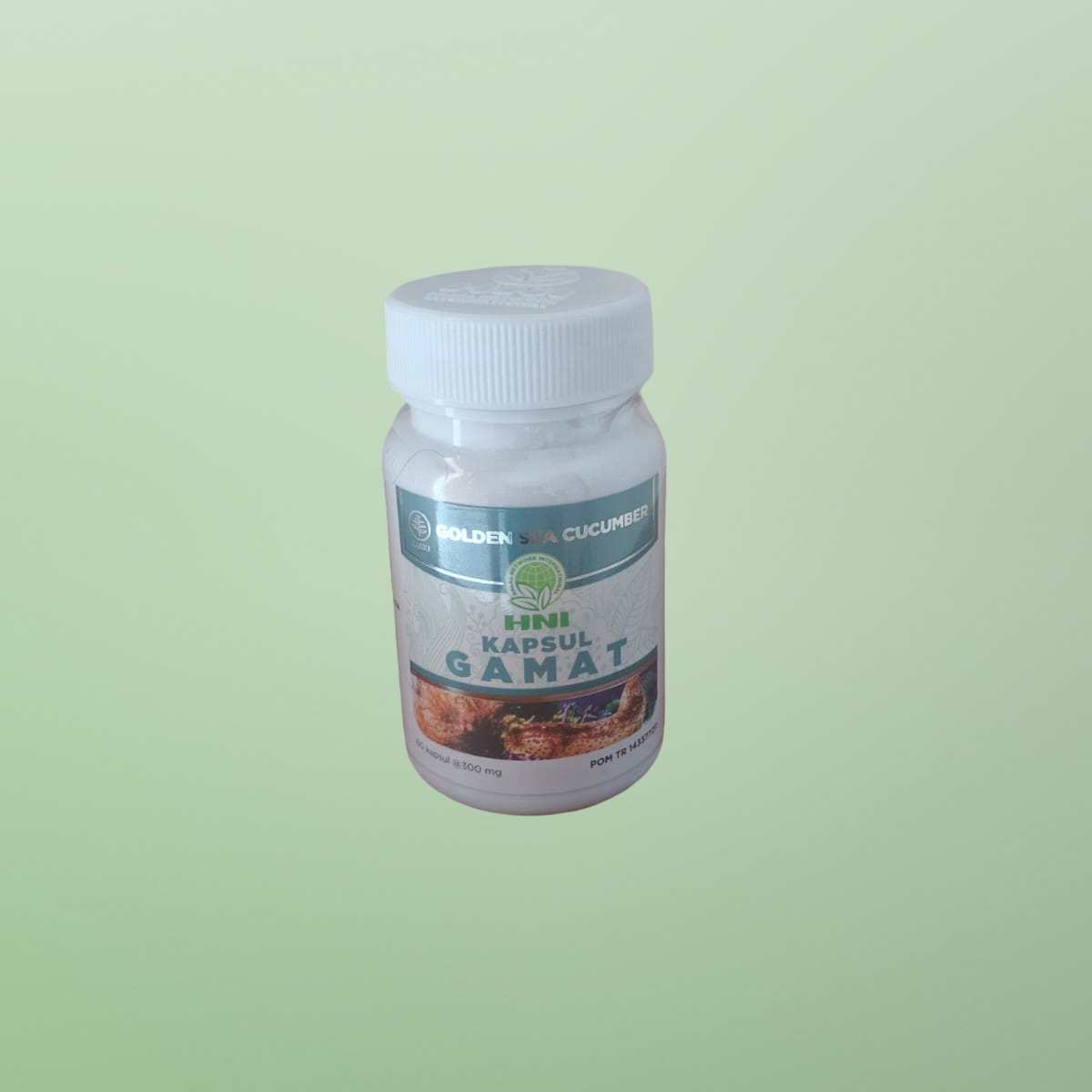 Golden Cucumber (Capsul Gamat) - HNI